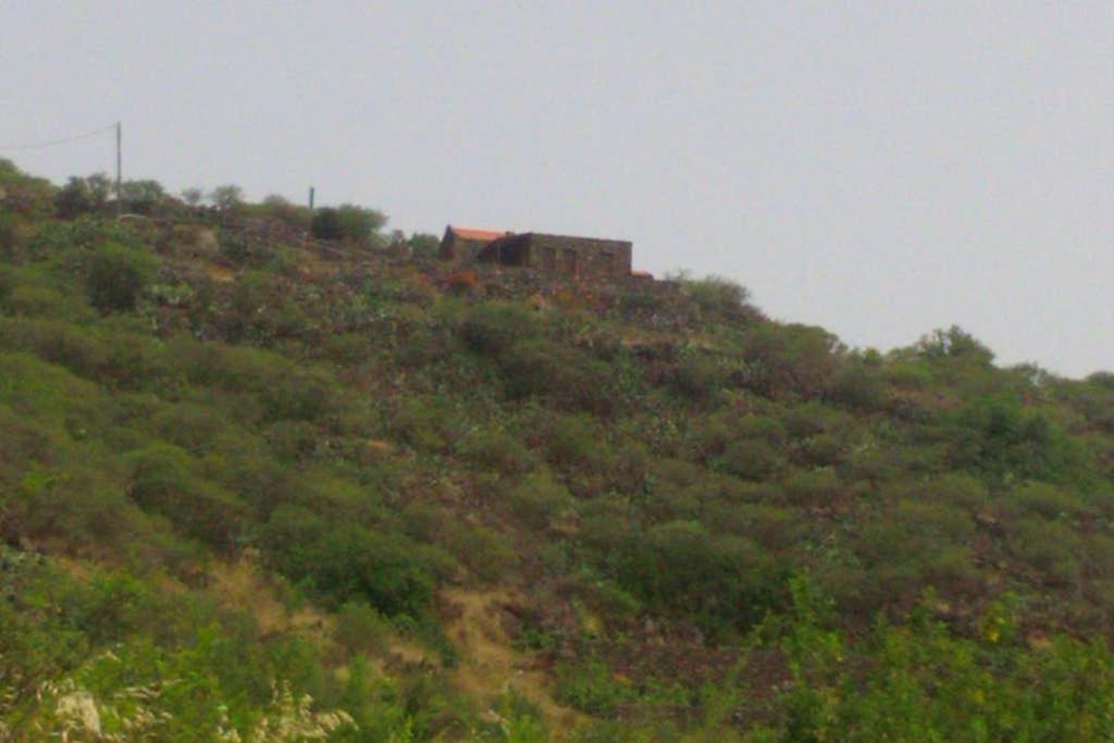 Casa Rural La Casa De La Lima Las Rosas  المظهر الخارجي الصورة